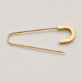 Gold Pin - Brooch