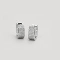 Silver earrings with small diamonds on a white background